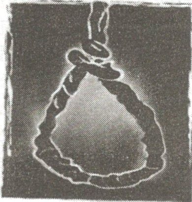 Printed illustration of a hanging noose beside the article