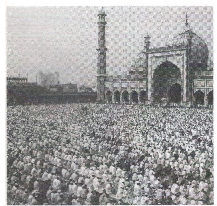 A large Muslim congregation outside a mosque